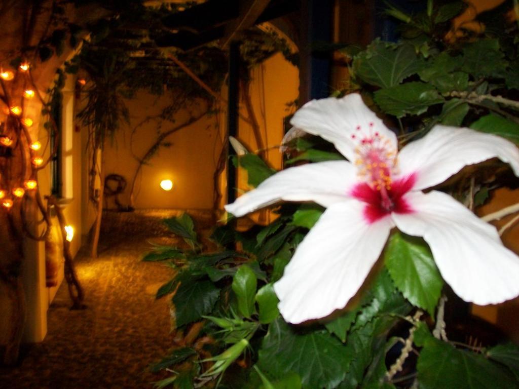 Villa Spyros Santorini Perissa  Exteriör bild